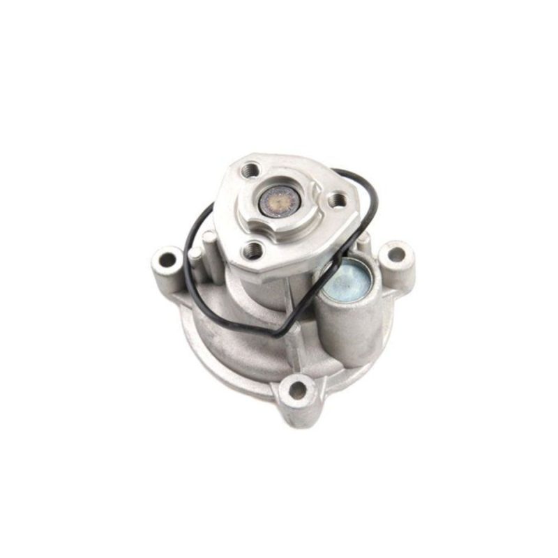 Polo Vivo CLP CLS Water Pump