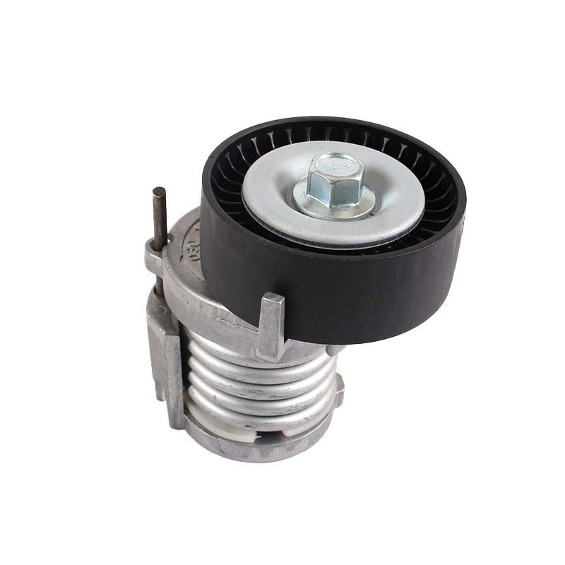 Polo 1.6 1.4 TSI Tensioner Roller
